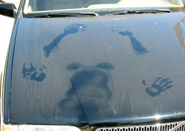 Name:  car_sex.jpg
Views: 110
Size:  43.5 KB