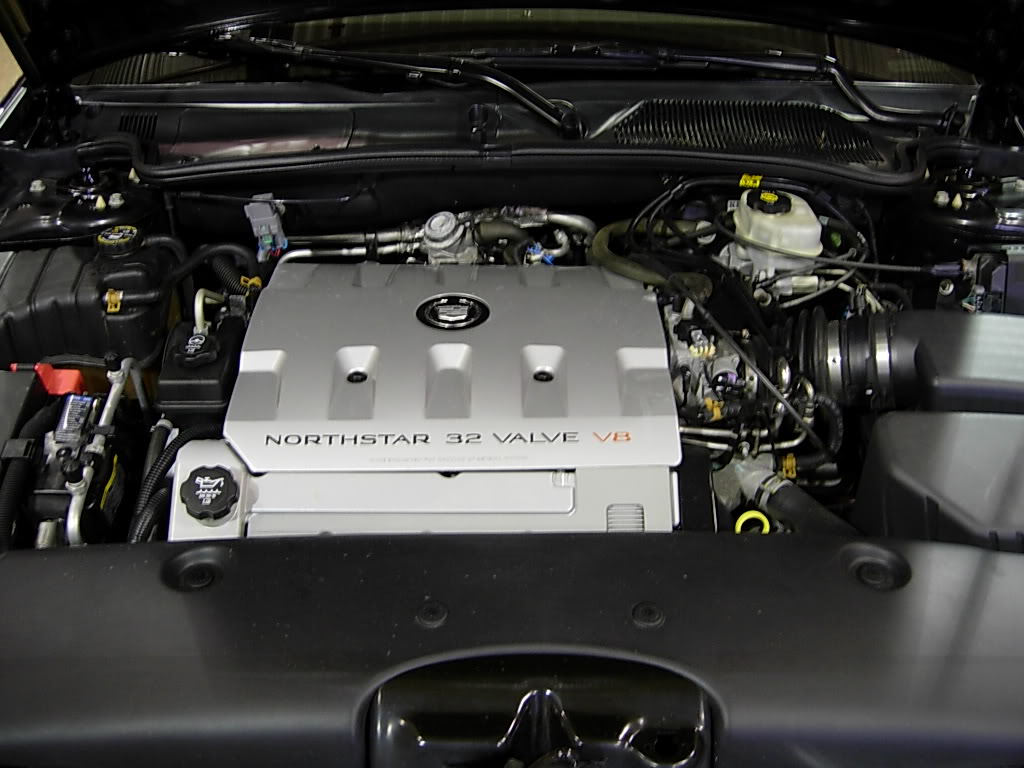 Name:  DSCN2027.jpg
Views: 2298
Size:  106.2 KB
