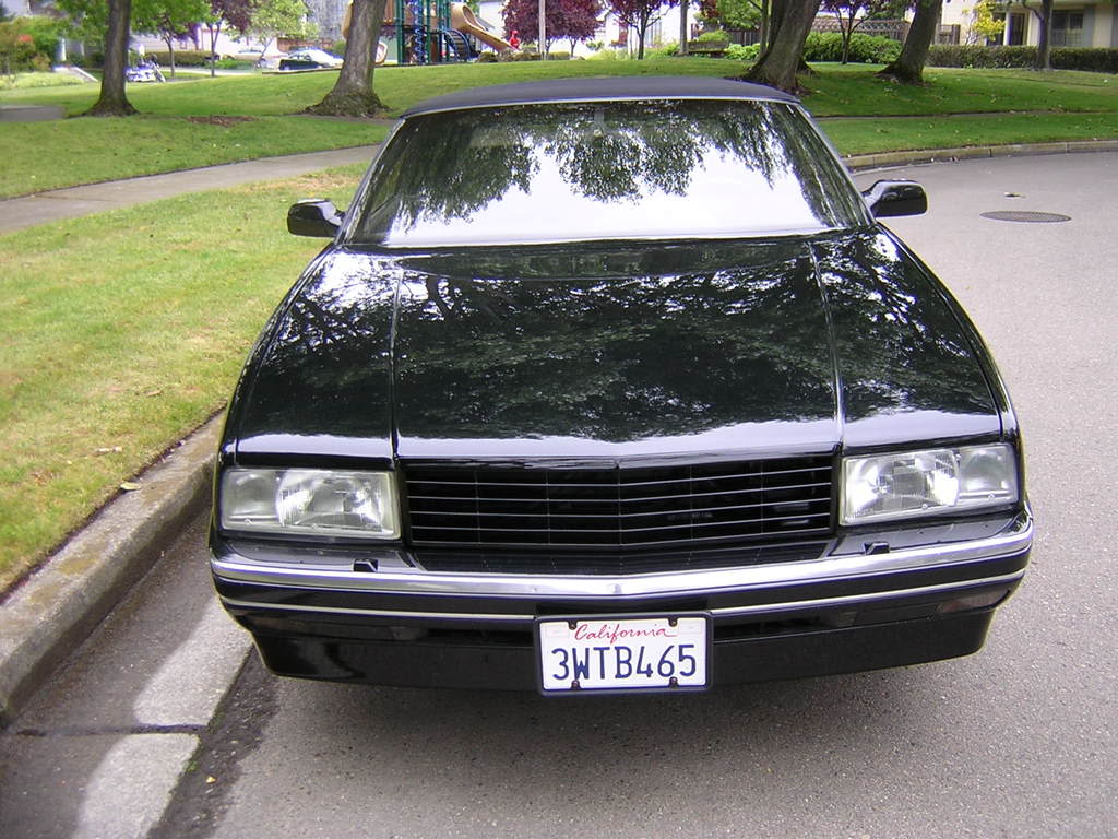 Name:  Allantegrille006.jpg
Views: 119
Size:  142.0 KB