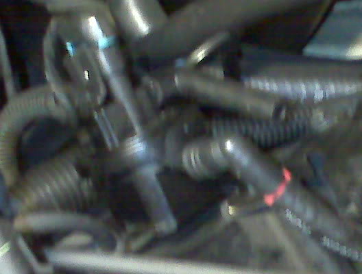Name:  IMG00065.jpg
Views: 49
Size:  24.3 KB