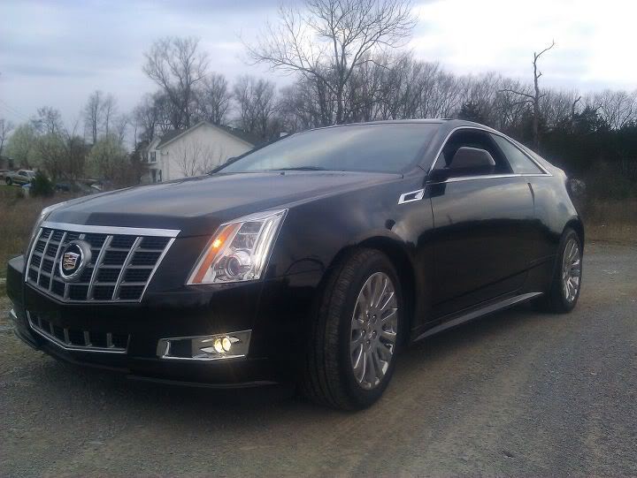 Name:  Caddy1.jpg
Views: 142
Size:  60.7 KB