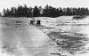 Dead whales, explosions, flying blubber and killed CADILLAC ...-oregon-highway.jpg
