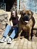 Holy Dog 4-Sale/Free-dog-4-sale.jpg