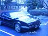 New Member, New Paint-imag0014.jpg