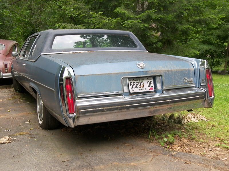 Name:  100_3390.jpg
Views: 581
Size:  116.2 KB