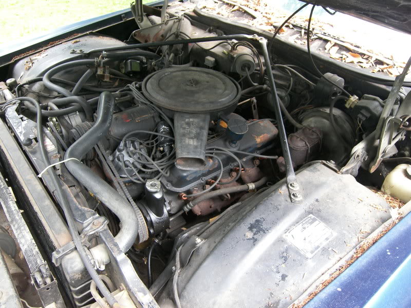 Name:  100_3384.jpg
Views: 400
Size:  116.7 KB