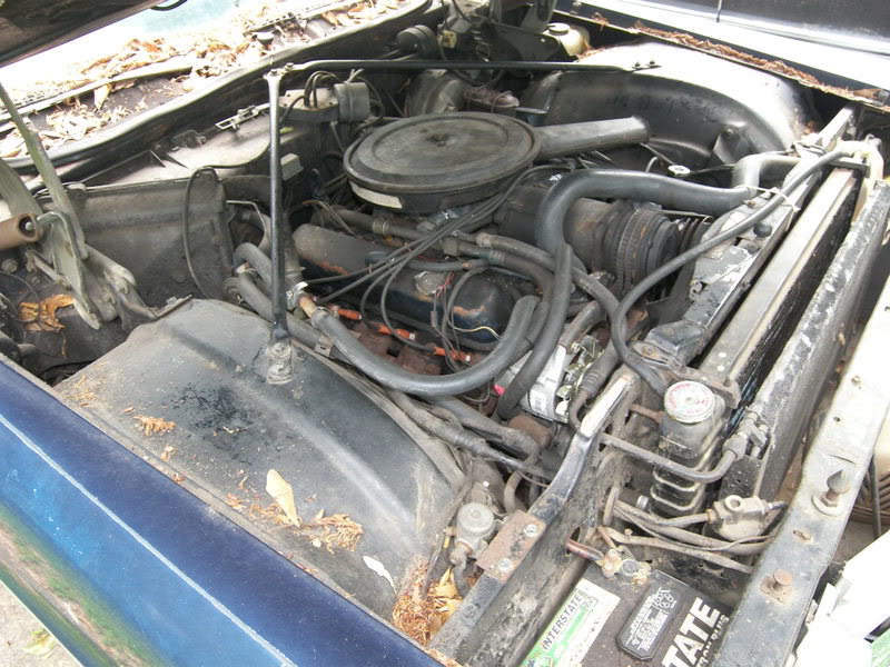 Name:  100_3385.jpg
Views: 341
Size:  118.1 KB