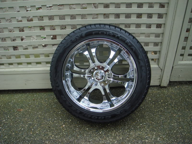 Name:  rims2001.jpg
Views: 68
Size:  132.9 KB
