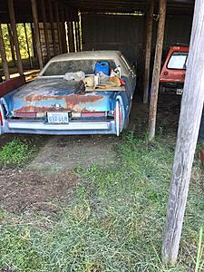 1976 Cadillac Coupe-79fe58e4-daf6-4aad-b68e-546e650f78b0.jpeg