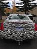 Disguised mules spotted-img_0701.jpg