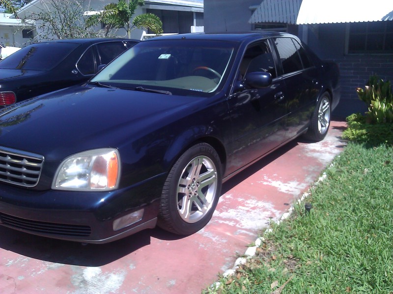 Name:  WP_000360.jpg
Views: 2103
Size:  163.8 KB