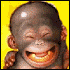 dlamerton's Avatar